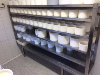 Estantería de la sala de elaboración de queso.