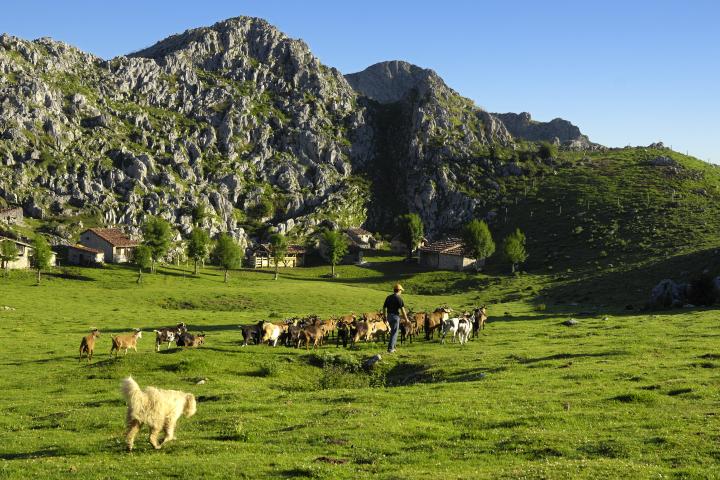 Belbín