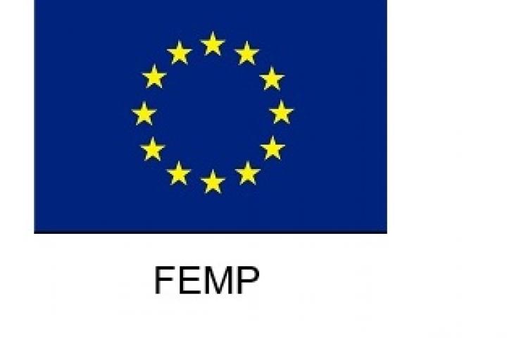 FEMP