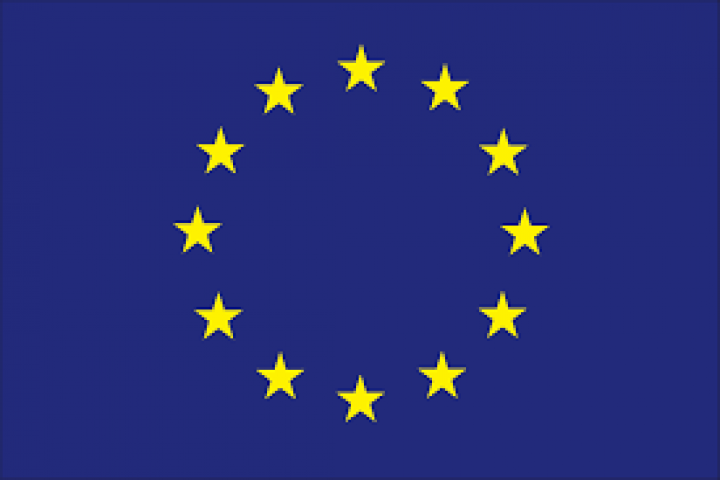 BANDERA UE